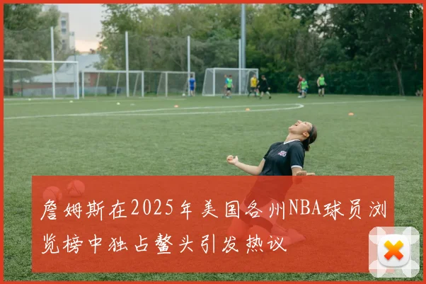 詹姆斯在2025年美国各州NBA球员浏览榜中独占鳌头引发热议