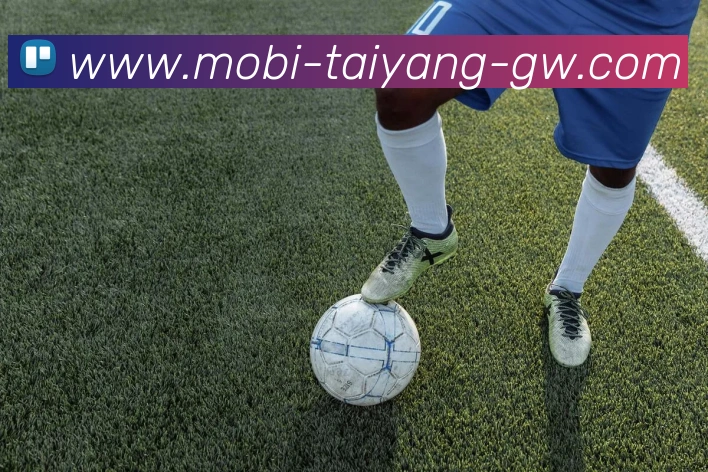 太阳城APP 封面图