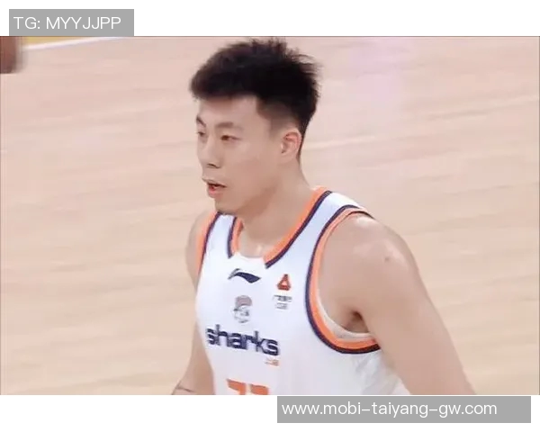 辽宁主场迎战卫冕冠军广厦跨年对决张镇麟元旦赵睿周琦挑战广东